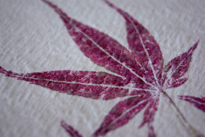 DIY: Maak je eigen blad en bloemen print - ARCHANA.NL #diy #doityourself