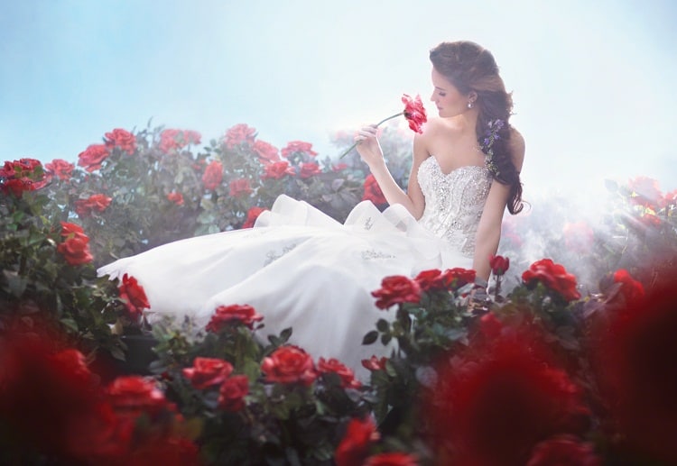 Belle wedding dress Beauty and the Beast - Disney bruidsjurken van Alfred Angelo - Wedding Dress Disney - ARCHANA.NL #trouwjurk #weddingdresses