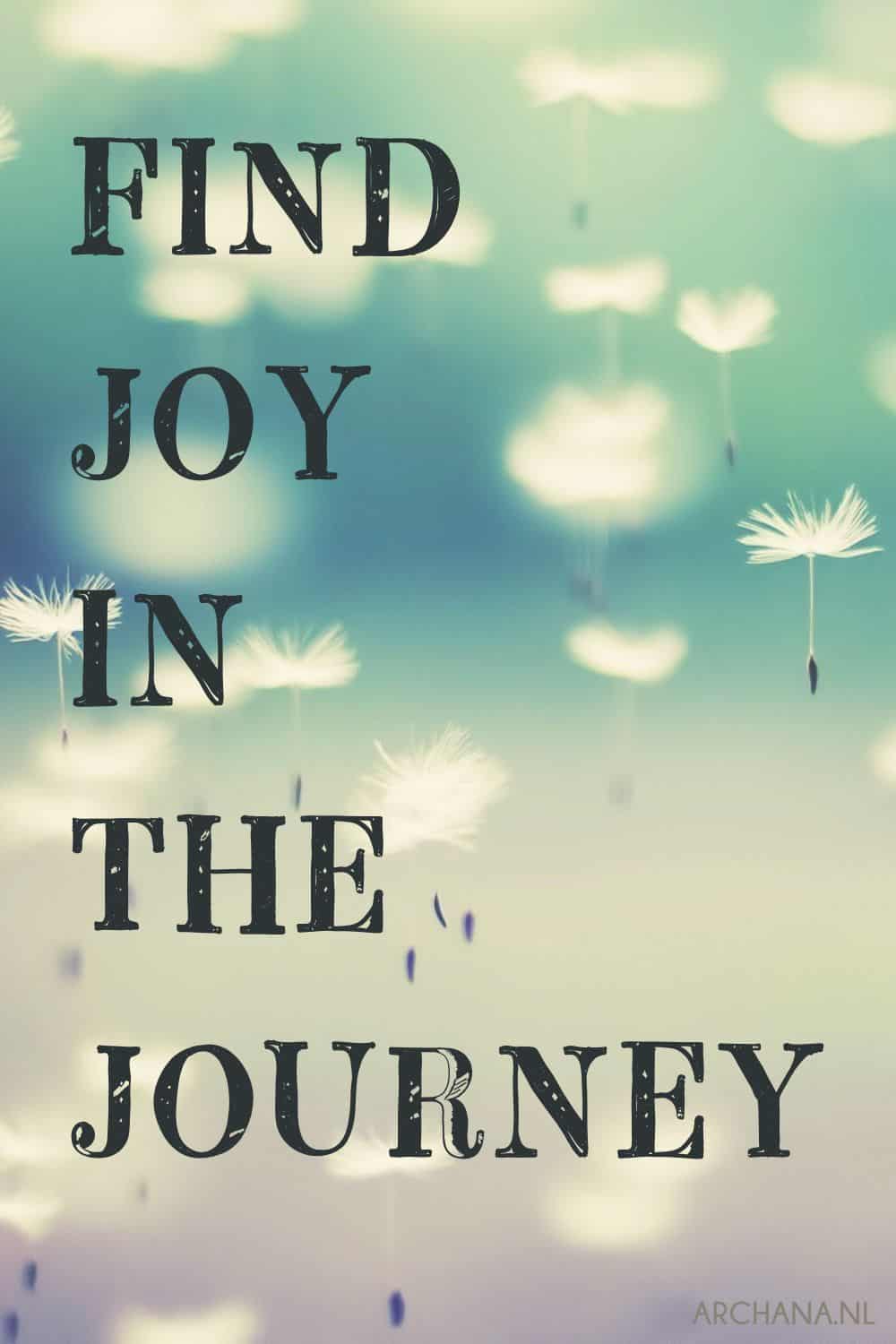 Find joy in the journey